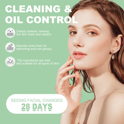 HOYGI Green Tea Cleansing Mask Stick for Deep Facial Cleansing