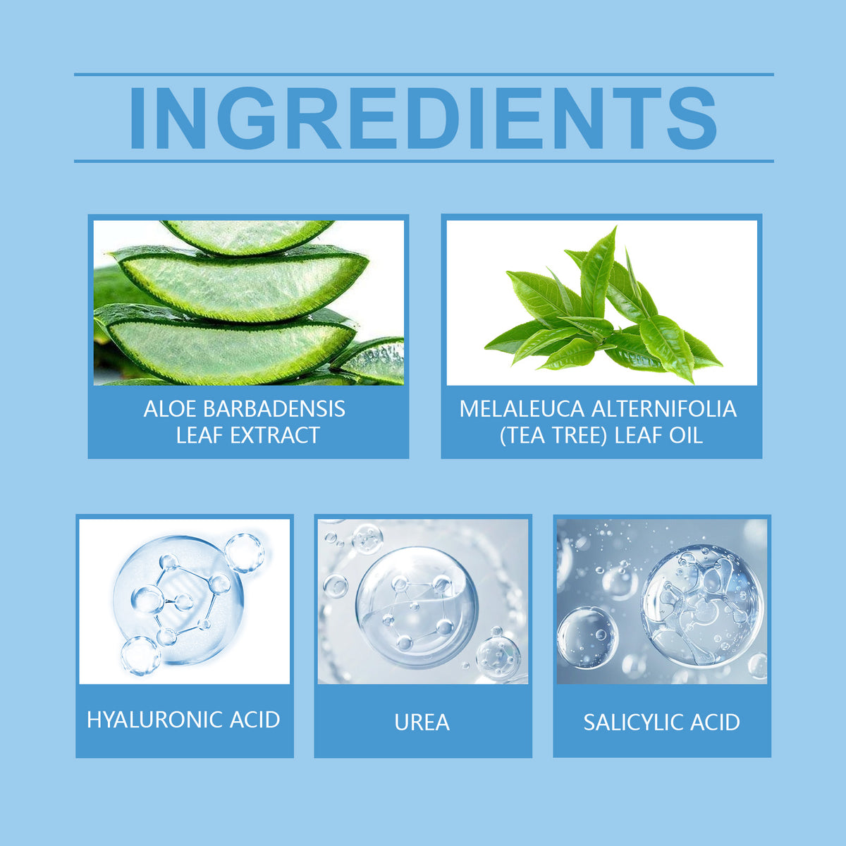 Tea Tree & Aloe Vera Hand and Foot Care Cream with Urea